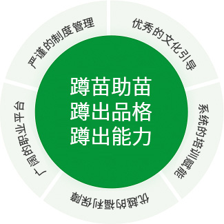 戰略理(li)念